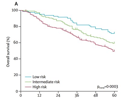 Low Hig Intermediate Risk